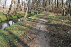 ferie-zimowe-4